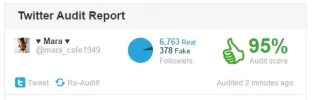 Twitter Audit.webp