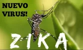 VIRUS-ZIKA.webp
