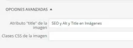 opciones-avanzadas-title.webp