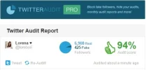 Twitter Audit.webp