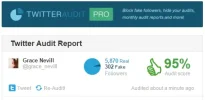 Twitter audit.webp