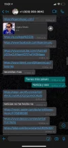 F01FE345-C9CA-4D35-AABD-7CD0F8EC28FA.webp