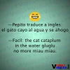 105.webp 105.webp