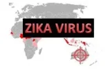 virus zika.webp virus zika.webp