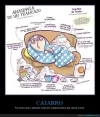 cataro.webp