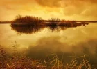 E82.webp