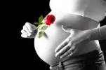 images.webp