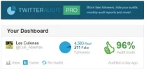 Audit.webp