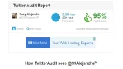 audi alekandra.webp