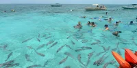 L_094217_belice-reserva-marina-hol-chan-visit-centroamerica.webp