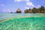 1487177525_747212_1487181423_sumario_grande.webp