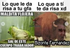 gfa.webp