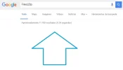1-Buscamos la web en google.webp