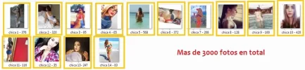 12.webp