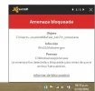 Sin título.webp