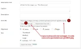 2016-03-07 21_50_42-Theme Options.webp