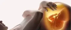 images (1).webp images (1).webp