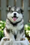 20e6fe58a9a4f8b8444979a24407e624.webp