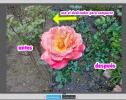 optimizar-con-ashampoo-013.webp