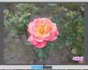 optimizar-con-ashampoo-014.webp
