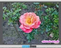 optimizar-con-ashampoo-015.webp