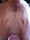 ksLd6P1.webp