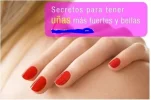 si foro.webp