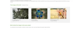 free-fotolia-images.webp