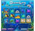 2016-03-31 03_49_48-OceanLife _ casoony.webp