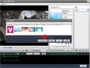 5.webp