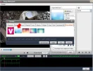6.webp