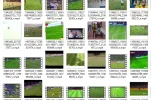 9.webp 9.webp