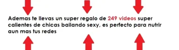 guarras2.webp
