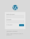 11.webp