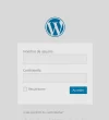 11.webp
