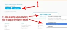 4.webp