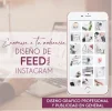 FEED PARA INSTAGRAM.webp