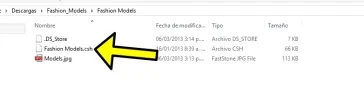 banderola--paso--026.webp