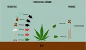 pantalla4.webp