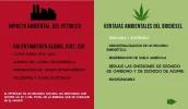 pantalla7.webp