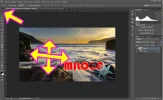 isologo-watermark-easy-018.webp isologo-watermark-easy-018.webp