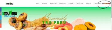 idiomas.webp