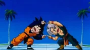 FUSION.webp