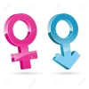 9269390-Ilustraci-n-de-iconos-femeninos-masculinos-sobre-fondo-blanco-Foto-de-archivo.webp