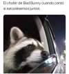 Meme  (165).webp