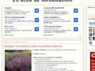 Adsense.webp