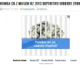 adsense.webp