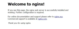 nginx.webp