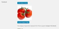 4.webp