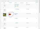 5.webp